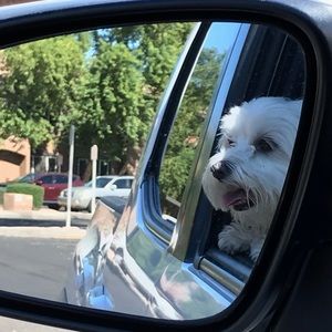 Meet your Posher, Jenna